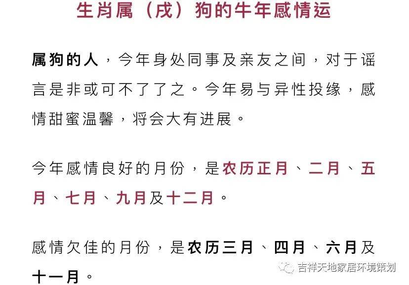 2025今晚开什么生肖|精选解释解析落实