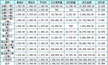 濮阳小麦价格最新行情