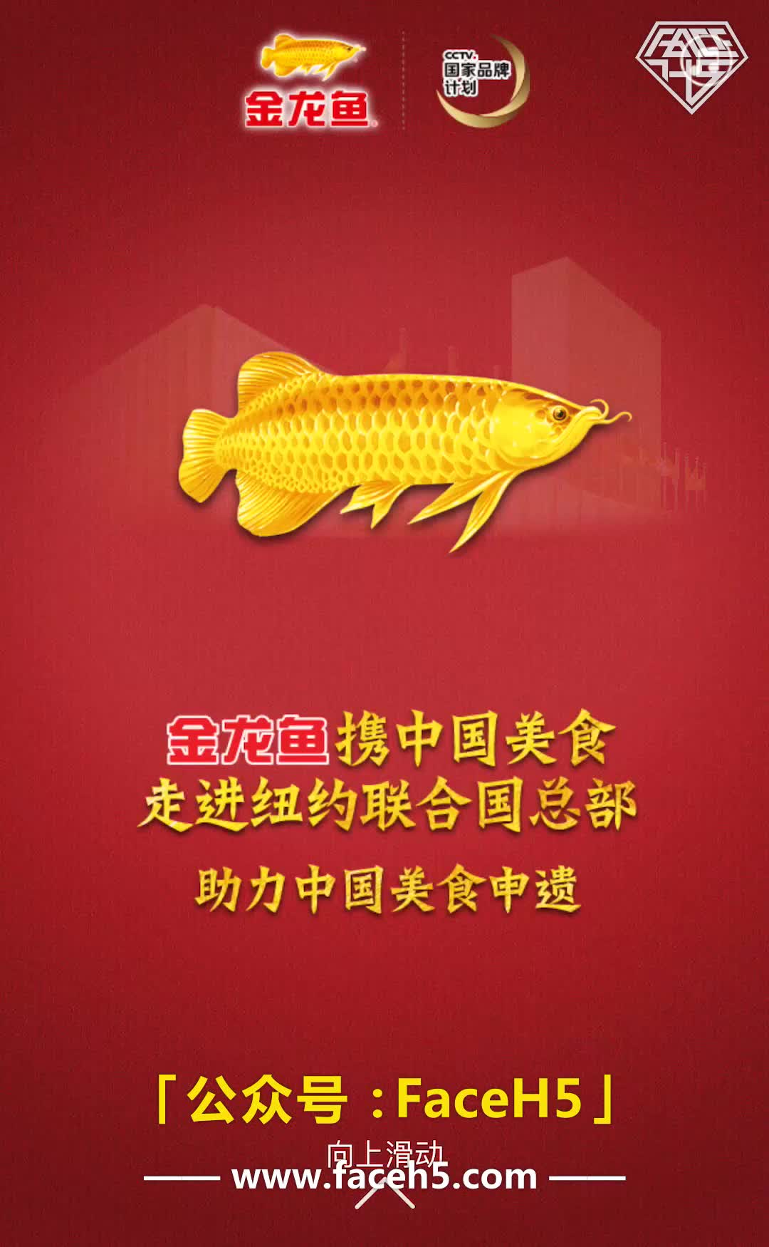 金龙鱼曝光最新